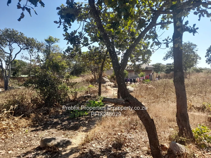 Crow Hill Residential Stand for Sale