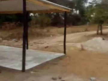 Shop & Retail Property