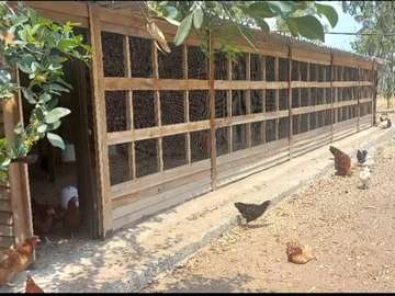 Farm & Agricultural Land