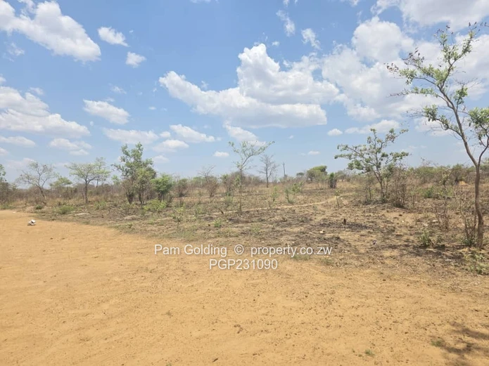 Burnside Town House Stands  (Sole Mandate)