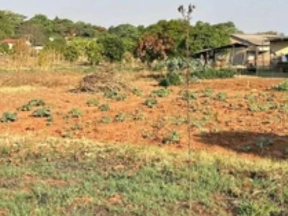 Commercial & Industrial Land