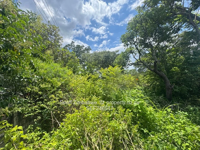 New Listing. Expansive Residential Land In Glen Lorne (Sole Mandate)