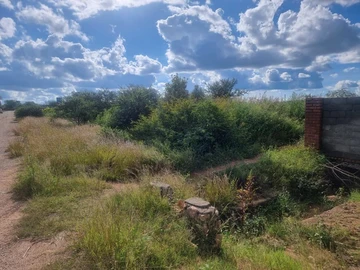 Stands & Residential Land