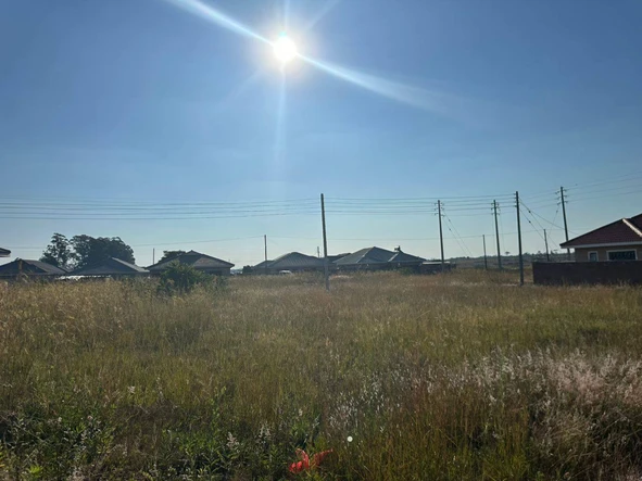 Stands & Residential Land