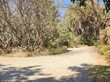 Commercial & Industrial Land