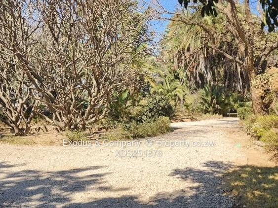 Commercial land for sale