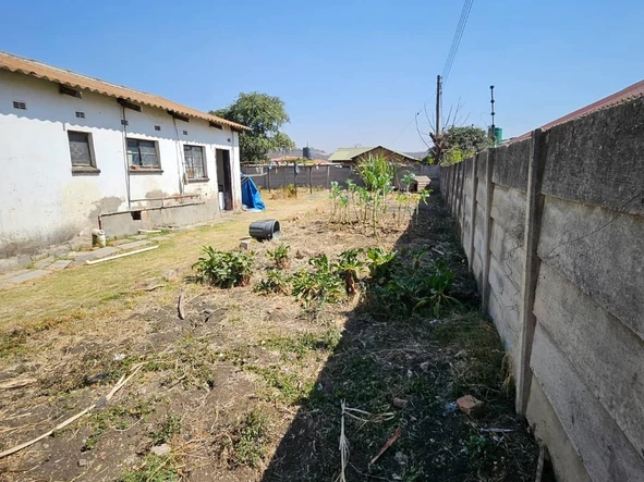 Stands & Residential Land