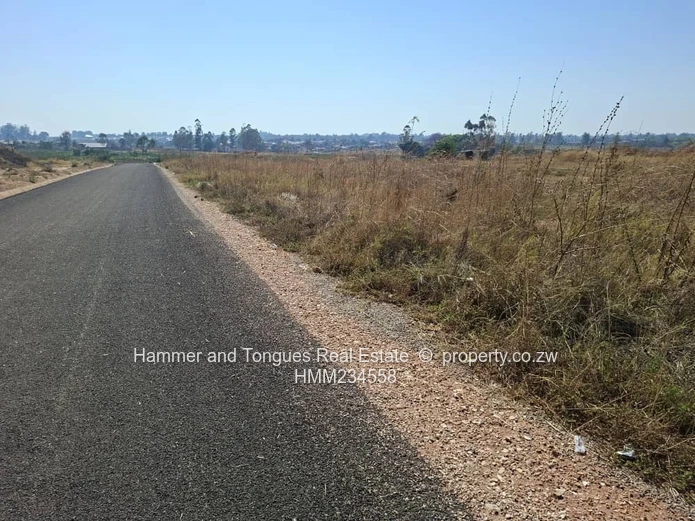 Athelney Estate Ruwa Stand For Sale