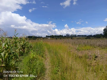 Farm & Agricultural Land