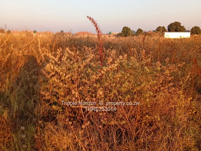 Sunset-lit Subdivision-ready 6.4ha Commercial in Damofalls