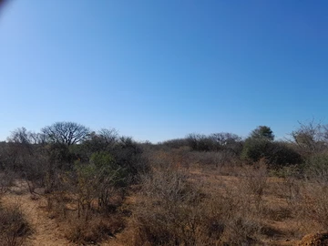 Farm & Agricultural Land