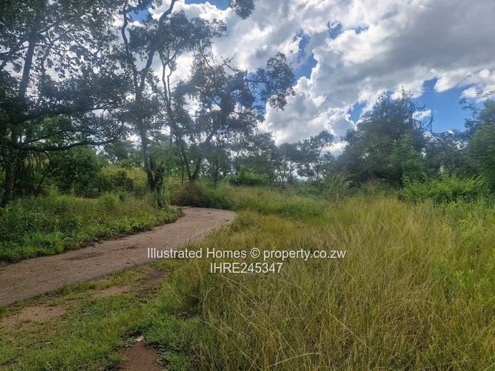 41ha Crowhill Views - Subdividable Land with Main Road Frontage