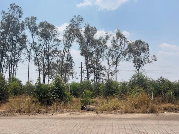 Commercial & Industrial Land