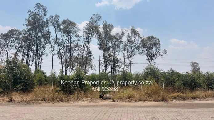 Industrial Stands for Sale   at $125/sq m  - Ranging in Size from an Acre to almost 2 Hectares