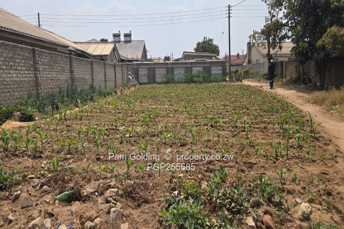 Ruwa Stands – Excellent Investment Opportunity