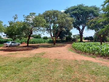 3 Bedroom Flat & Apartment