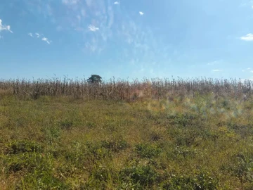 Farm & Agricultural Land