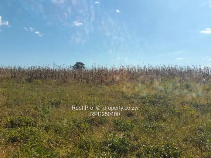 Bindura Aerodrome 