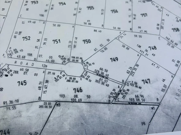 Stands & Residential Land
