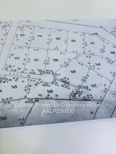 Elite Address, Infinite Potential: Prime Acre Stand in Borrowdale