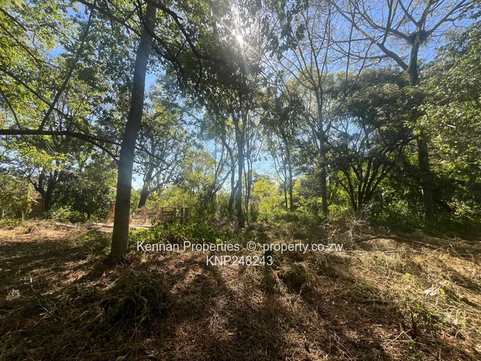 2.5 acres of land on North Road