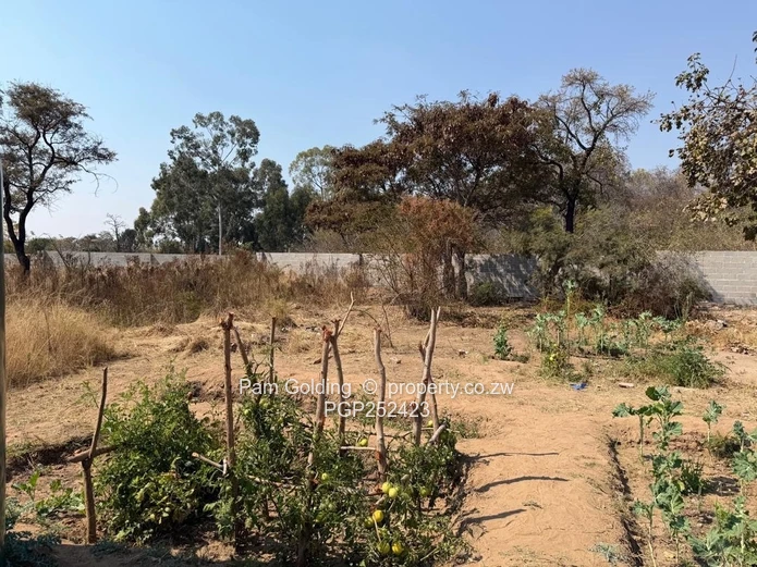 Matsheumhlophe – Opportunity On An Acre