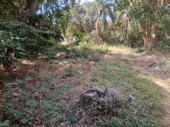 Commercial & Industrial Land