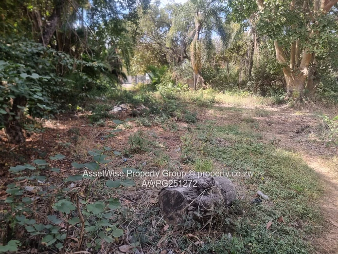 2100m² Tree-lined Commercial Plot in Avondale — Services