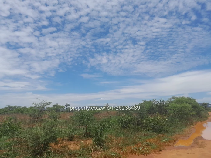 An 8000sqm stand with approved plans if 21 cluster units for sale in Galloway Norton