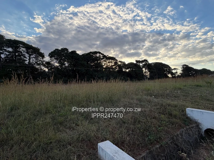 Prime 2000 sqm Vacant Stand for Sale in Pomona City – Perfect Location Next to Fairway!