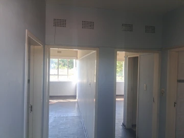 Flat & Apartment