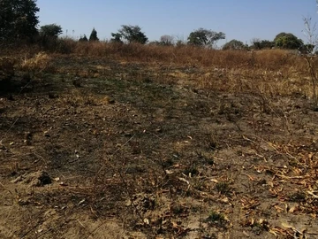 Farm & Agricultural Land