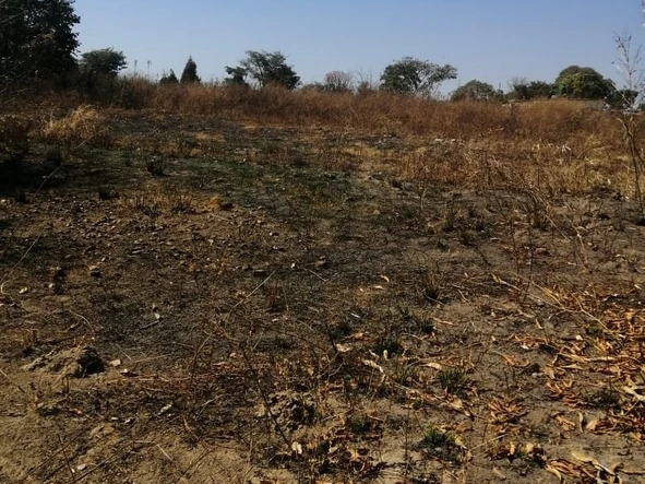 Farm & Agricultural Land