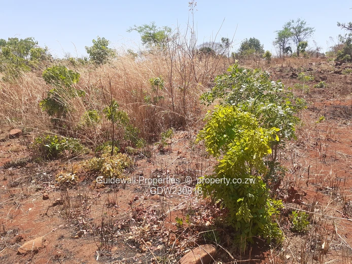 1200sqm stand with deeds in Charlotte Brook