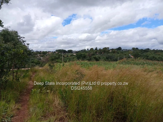 Chishawa Hills stand for sale 