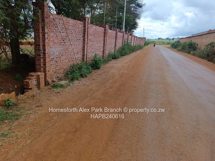 Borrowdale Tall Trees Estate Stands on Sale