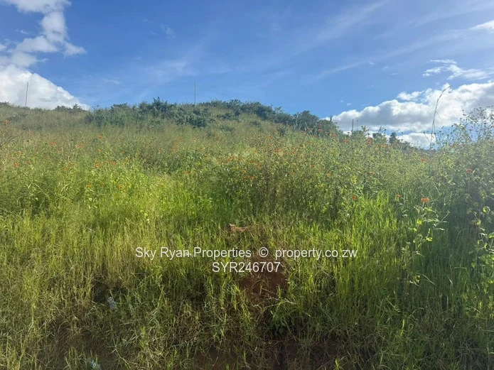 Marlborough, Sunset Views Stand For Sale