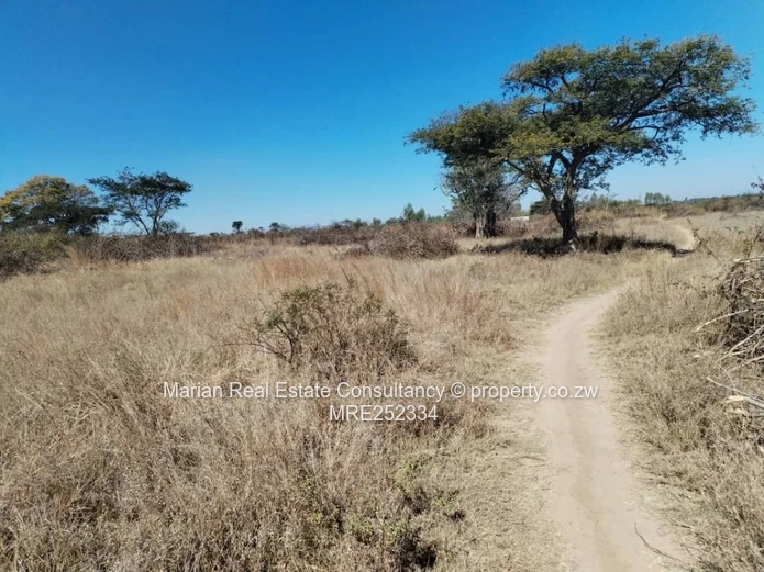 Douglasdale Stand For Sale