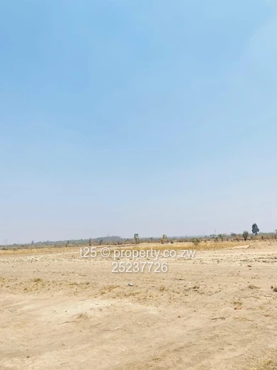 Golden Estate Amalinda Stands for Sale