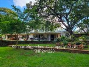 Spacious property on 7,5acres of land with beautiful msasa trees