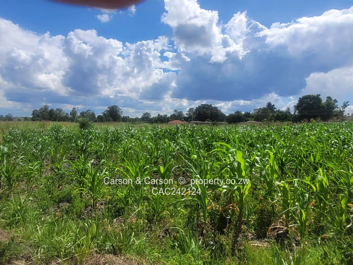 Prime, well established and mature suburb of Chadcombe with massive invetment potential