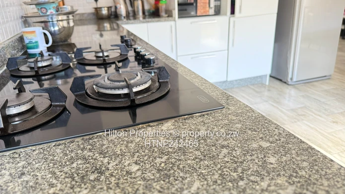 Modern Highlands Home 