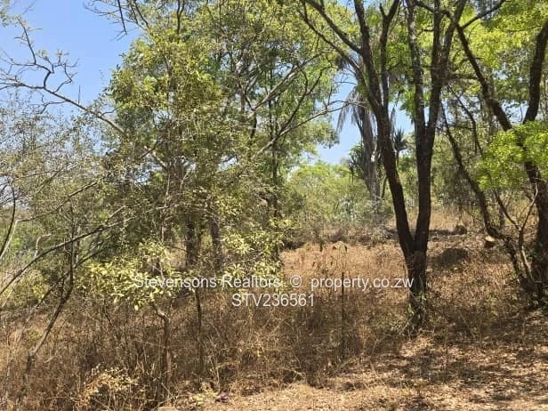 Massive development land for sale along Crowhill Road 