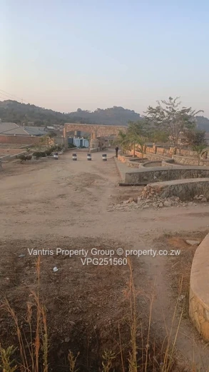 Palm village stands for sale !!!!
