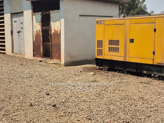 Massive Property In Willowvale