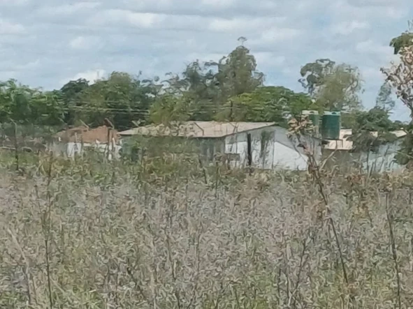 Commercial & Industrial Land