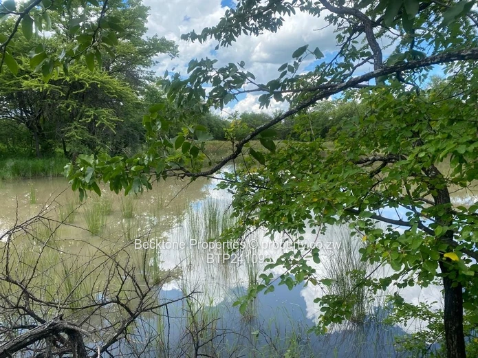 Prime Cattle Ranch: 809ha, 46km Bulawayo