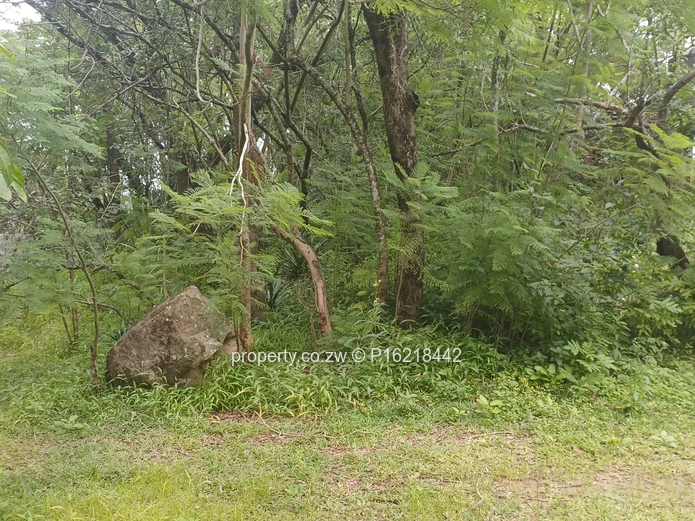 5400m^2 vancant piece of land (Sole Mandate)