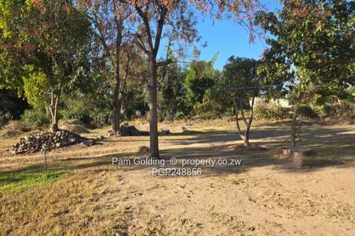 Treed 2800m² Prospect Stand — Subdivision Potential (Sole Mandate)