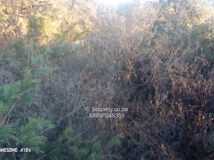 Headlands Eagle Nest Plot for sale (Sole Mandate)
